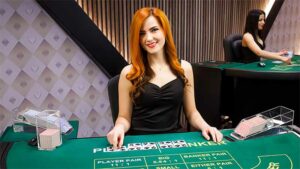 người chia bài trong casino gọi là gì