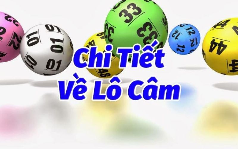 lô câm là gì?