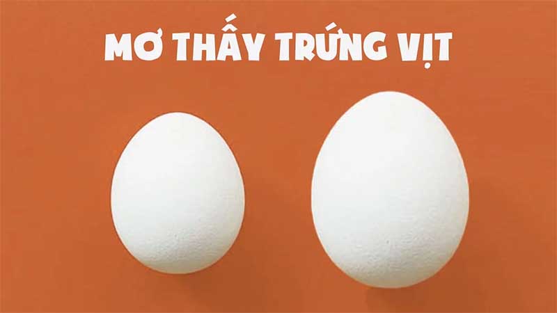 mơ thấy trứng vịt