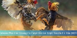 Ý nghĩa của các trang cá cược đá gà trực tuyến